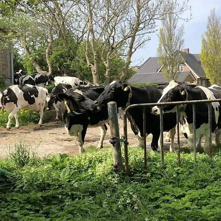 아파트 Hinrichsen 2