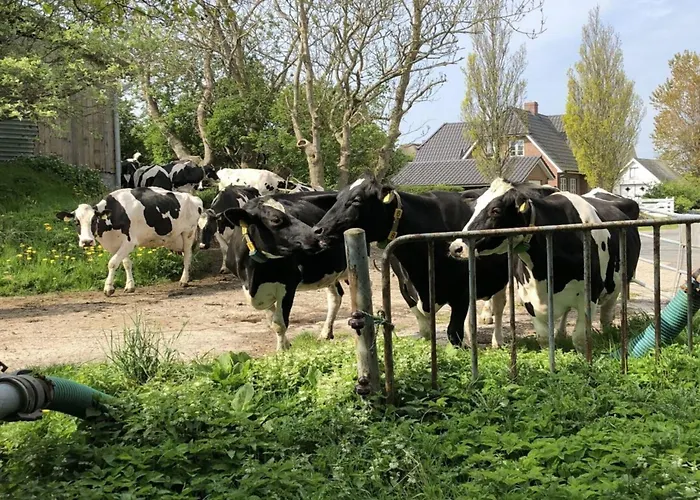 Apartamento Hinrichsen 2